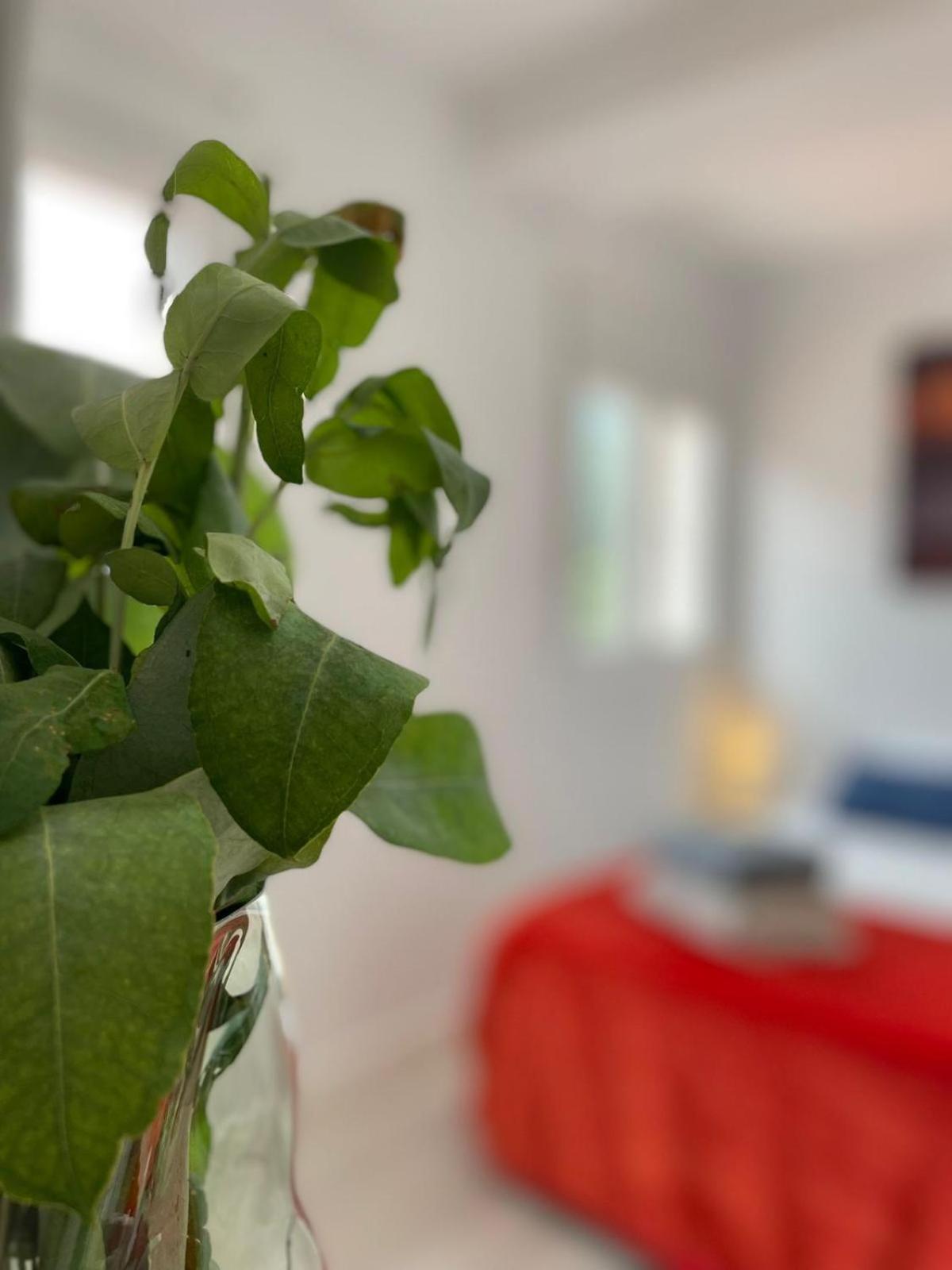 Villa Felicidad Vigo Kültér fotó